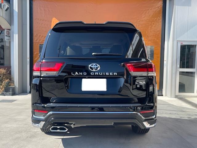 lc300 black202306