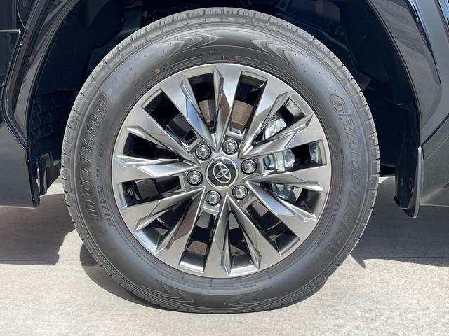 lc300 black202309