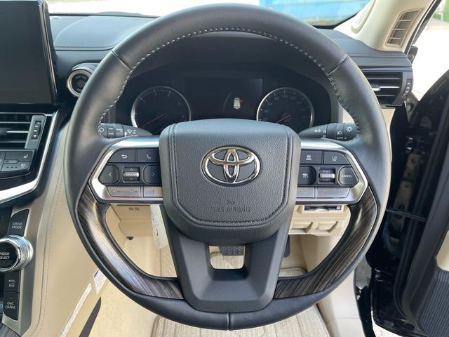 lc300 black202317