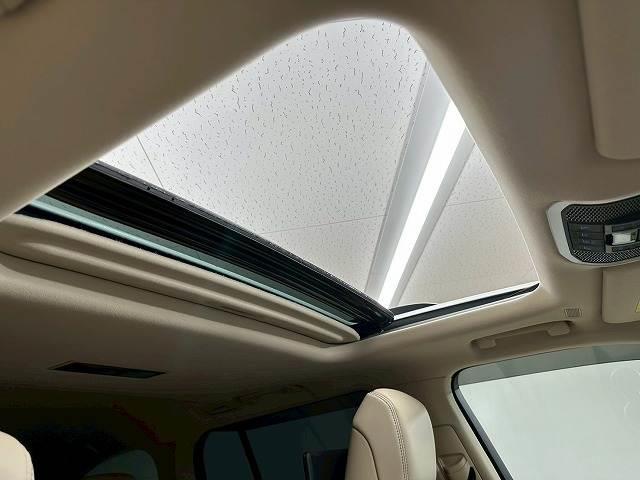 lc300 white 202307