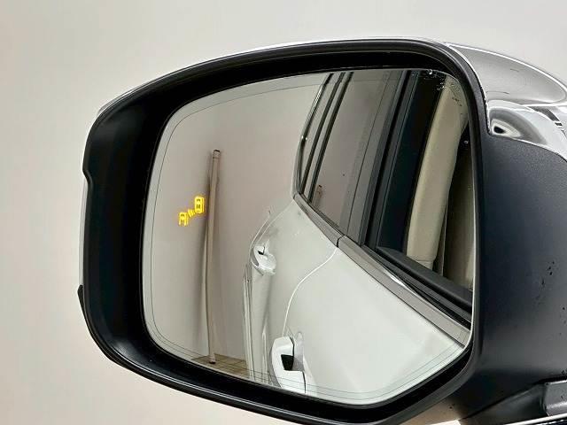lc300 white 202311