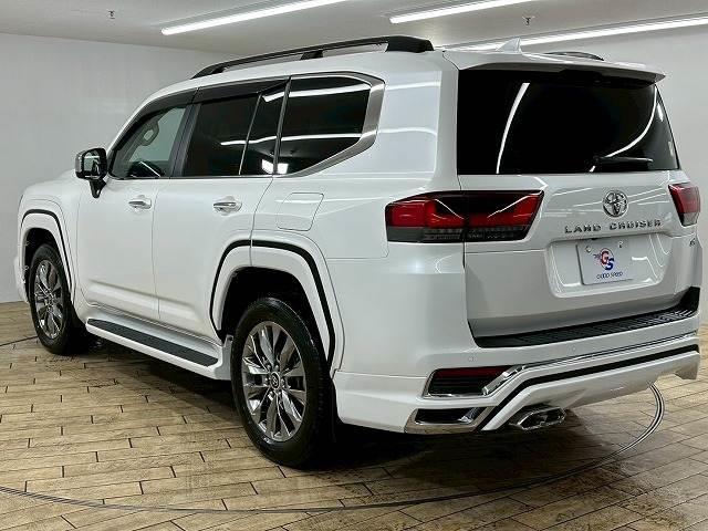 lc300 white 202315